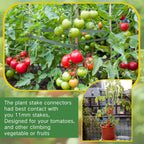 Geelin 200 Pcs Plant Stake Arms for Tomato Cage, 11.8" Expandable Trellis Connectors, 11mm Bayonet Diameter Plant Stakes for Climbing Plants, Tomatoes Stakes, Vegetables