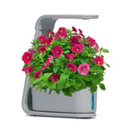 AeroGarden Sprout, Cool Gray