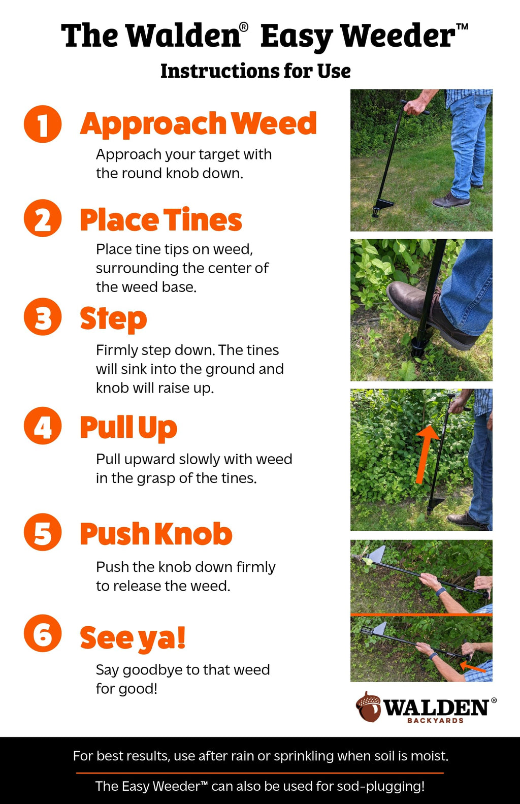 Walden Backyards Weed Hound Stand Up Weed Puller 36" - Upright Dandelion Root Remover Tool with Foot Pedal - Heavy Duty Steel Weeder for Lawns & Gardens - No Bending for Thistle, Crabgrass, Clover