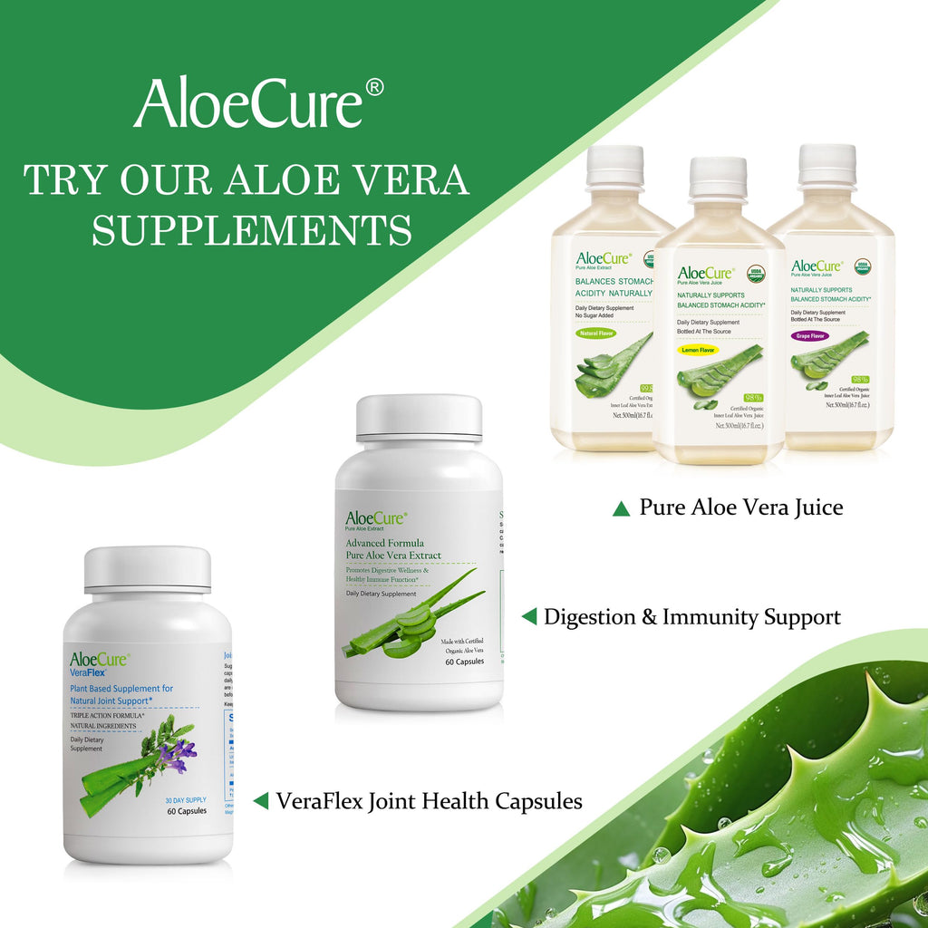 AloeCure USDA Organic Aloe Vera Juice Made Within 12 Hrs of Harvest - Pure Aloe Juice Natural Digestive Supplement to Support Digestion, Immune System and Balanced Stomach Acidity, 18 x 500ml Bottles