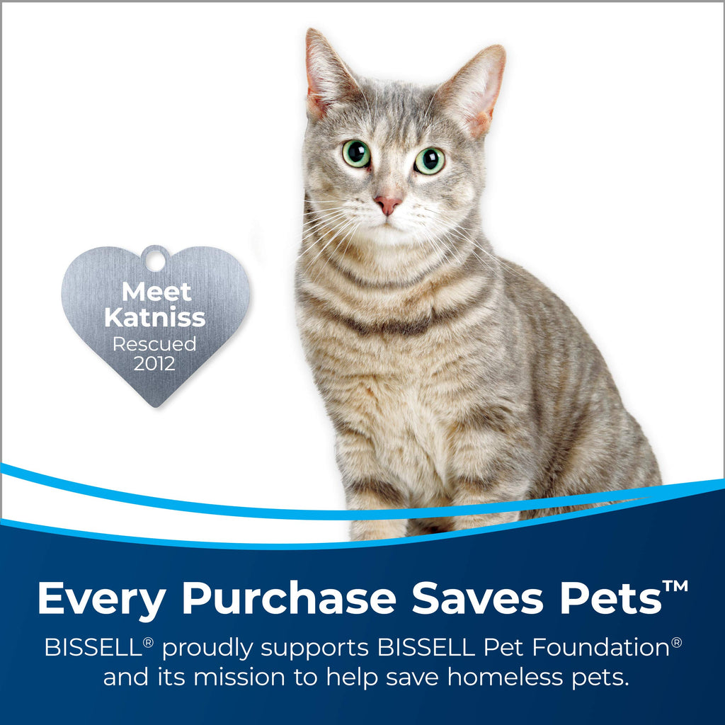 Bissell Pet Stain & Odor Remover + Sanitize Formula, 22 oz, 2 Pack, 11299