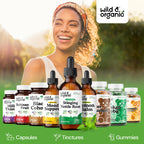 Wild & Organic Stinging Nettle Root Drops - Stinging Nettle Extract Tincture for Men & Women - Liquid Urtica Dioica Supplement - Vegan, Sugar & Alcohol-Free - 2 fl oz