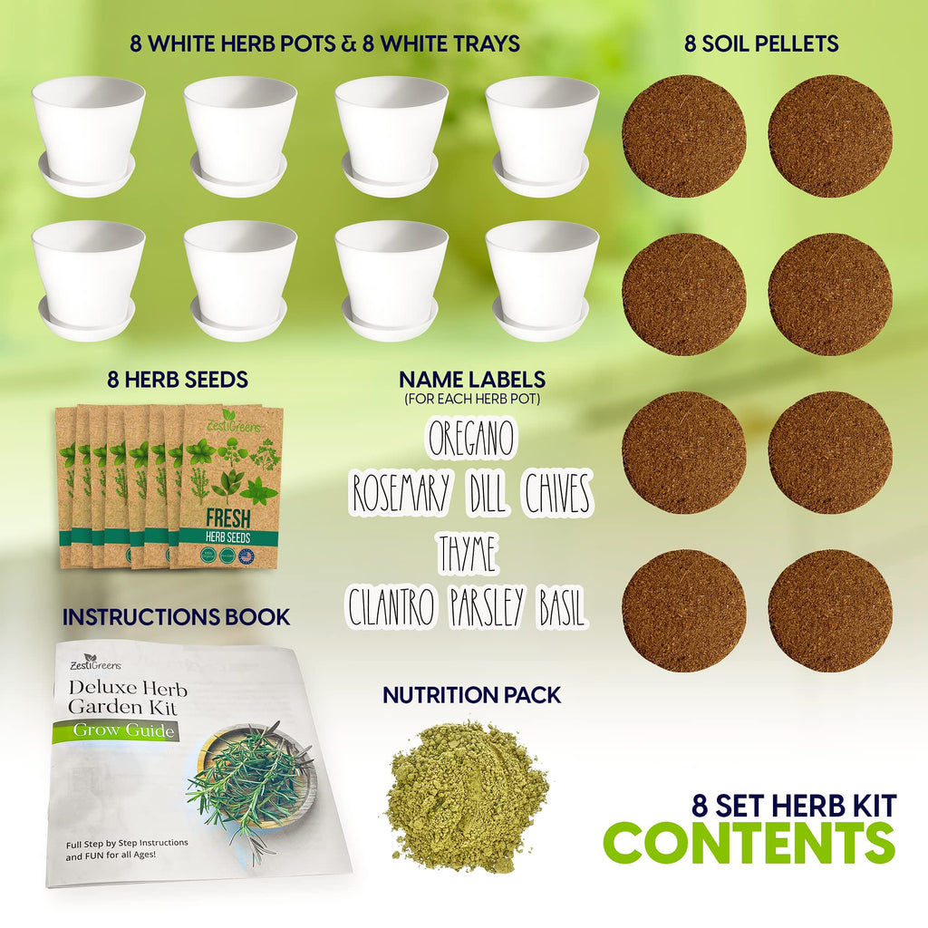 Herb Garden Starter Kit - 8 USA Culinary Herbs