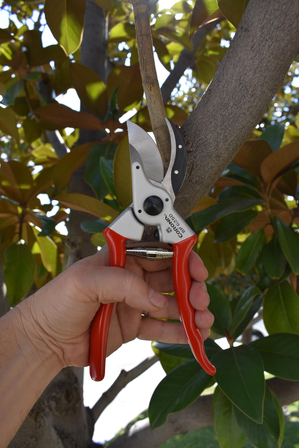 Corona Tools BP 6250 MAXFORGED Aluminum Bypass Pruner, 1-Inch Cut Capacity, Professional Hand Pruning Shears with Replaceable Steel Blade & Non-Slip Comfort Grip