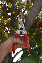 Corona Tools BP 6250 MAXFORGED Aluminum Bypass Pruner, 1-Inch Cut Capacity, Professional Hand Pruning Shears with Replaceable Steel Blade & Non-Slip Comfort Grip
