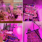 Garpsen Plant Light, 2 Heads Grow Lights for Seed Starting with Clip, 2Pack