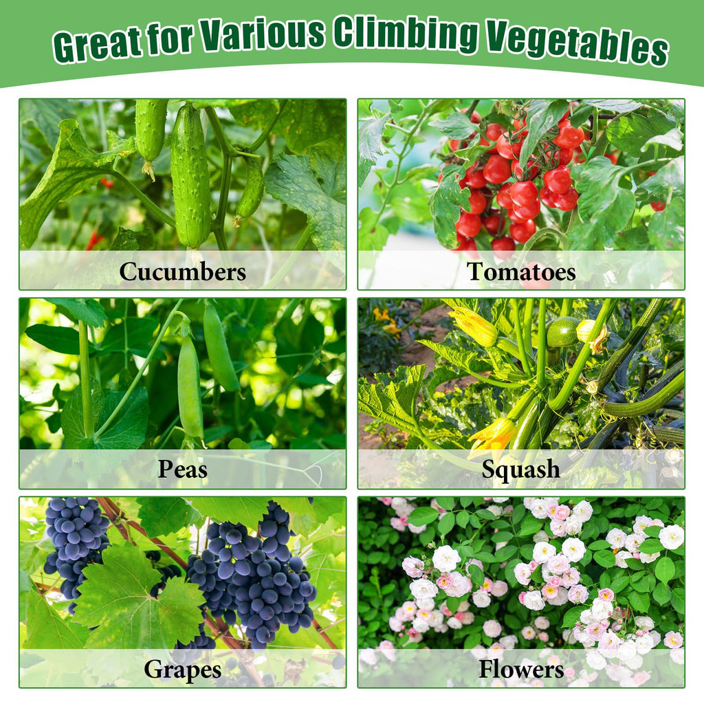 66x65x18 Inch Cucumber Trellis for Raised Bed - with 61 Gallon Grow Bags, Garden Trellis for Climbing Plants Outdoor with Climbing Net and Plant Support for Cucumber, Tomato, Vegetable, Grape, Vine