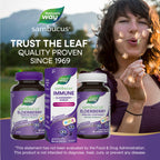 Nature's Way Sambucus Elderberry Immune Syrup for Kids Ages 2+, Echinacea & Propolis, with Superfood Antioxidants(1), Immune Support Syrup*, Vegetarian, Berry Flavored, 8 Fl Oz