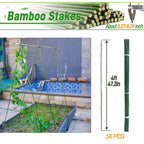 50Pcs 4ft Bamboo Sticks for Indoor Outdoor Plants, 0.29"-0.38" Natural Bamboo Poles, Durable Garden Stakes for Tomatoes, Beans, Flowers and Potted Plants