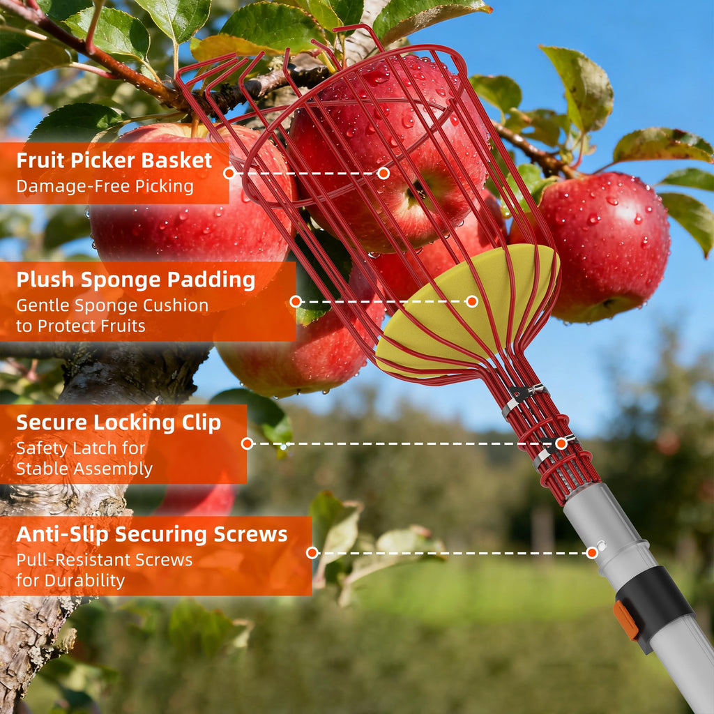 TONYINGO 30FT Reach Fruit Picker with Basket, Telescoping Aluminum Pole 5-24FT, Dual Flip-Lock & Screw Fixing Design for Apple Orange Mango Avocado Lemon Picking