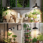 DingChen Grow Light Bulbs, A19 Full Spectrum Light Bulb, 9W Plant Grow Lights Bulbs (100W Equivalent), E26 Base, for Indoor Plants, Herbs, Flowers, Vegetables, 6 Pack