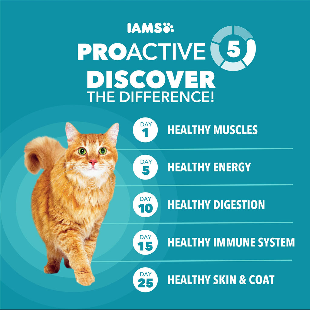 IAMS Proactive Health Indoor Dry Cat Food, Chicken & Turkey, 16 lb