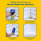 Commercial Mold Stain & Mildew Stain Remover, Quart Bottle, 12 Bt/Case