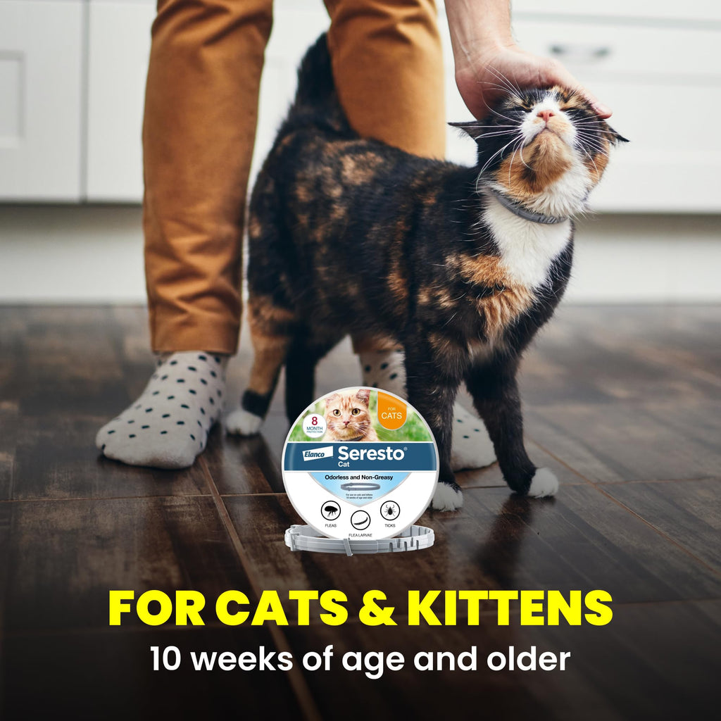 Seresto Cat Vet-Recommended Flea & Tick Treatment & Prevention Collar for Cats | 8 Months Protection