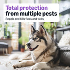 Amazon Basics Flea and Tick Topical Treatment and Prevention for Large Dogs (45-88 lbs), Fast Acting and Long Lasting, Tick Prevention, 6 Count, Packaging May Vary