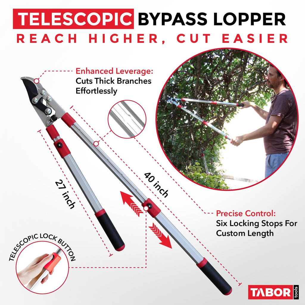 TABOR TOOLS GG21A Extendable Bypass Lopper with Compound Action, 27-40 Inch Telescopic Tree Trimmer & Branch Cutter, Long Reach Tree Pruner with 1 1/2 Inch Cut Capacity, Makes Clean Neat Cuts