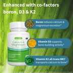 Igennus Algae Calcium & Magnesium Supplement, Plant Based, High Absorption, K2 & D3, Vegan, Non-GMO Red Algae Mineral Complex for Bone & Teeth Support, for Women and Men, with Boron, 60 Tablets
