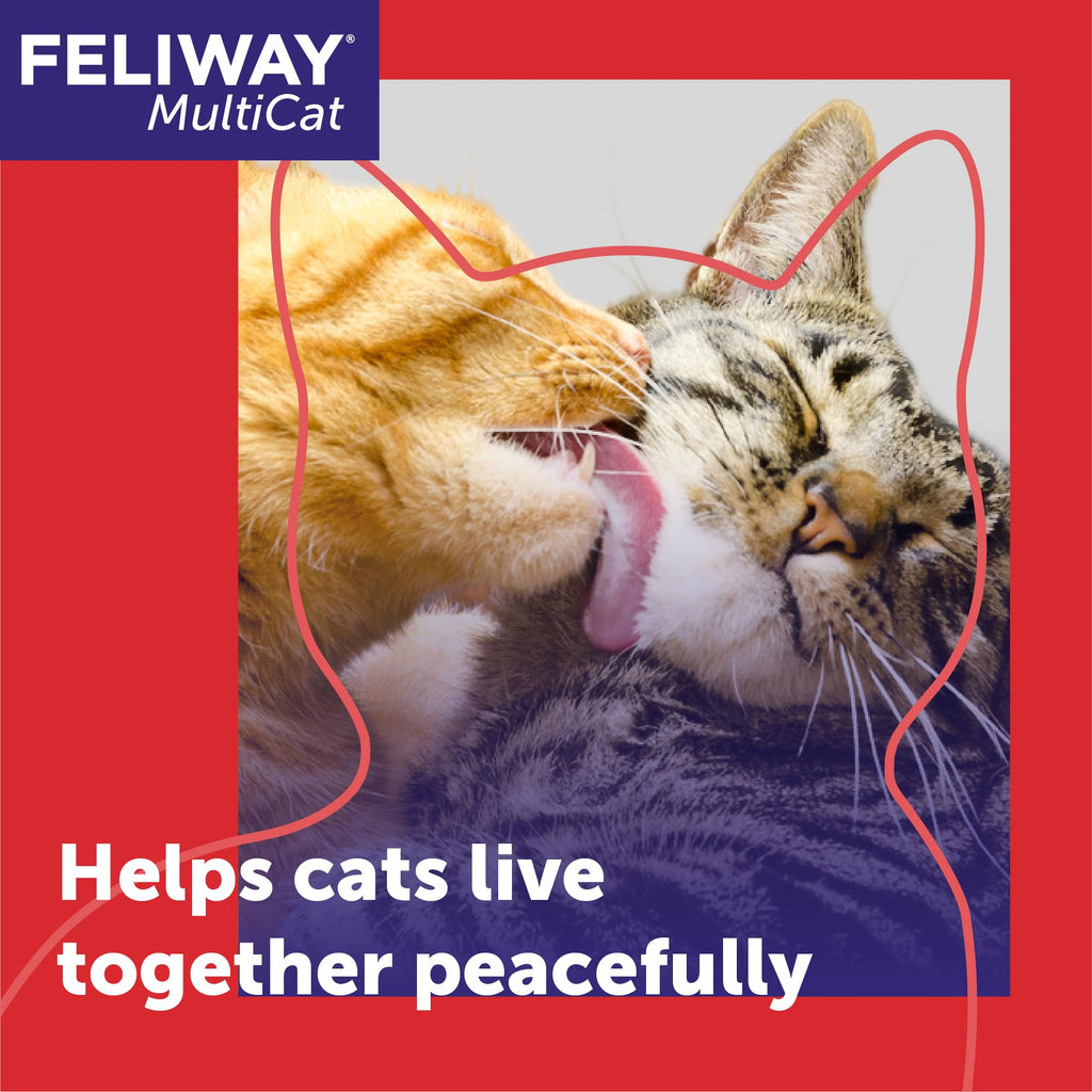 FELIWAY MultiCat Cat Calming Pheromone Diffuser Refill - 1 Pack