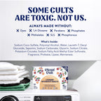 Cleancult Laundry Detergent Sheets - Resealable Box - 3 Stain Fighting Enzymes - Juniper Sandalwood - 60 Loads - Free of Harsh Chemicals - No Mess - No Plastic Waste (Pack of 2)