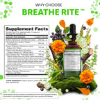 Clean Nutra Mullein Drops for Lungs Organic Chlorophyll Liquid Irish Sea Moss, Spirulina, Licorice, Tart Cherry Lobelia, Motherwort & Elderberry Mullein Leaf Extract Tincture Men Women Supplement