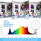 Dekang 8 Pack LED Globe Light Bulbs 5000K Daylight E26 Base 60W Equivalent