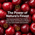 MAVETTO Purge Uric Acid Flush,with Tart Cherry & Chanca Piedra, Celery Seed, Uric Acid Support for Mobility, Blend of Five Ingredients Chosen, Antioxidant Support, 60 Vegetarian Capsules