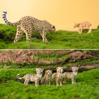 Toymany 8PCS Cheetah Figurines with Cheetah Cubs, Realistic Jungle Zoo Animals Figurines Family Set, Educational Toy Cake Toppers Christmas Birthday Gift for Kids