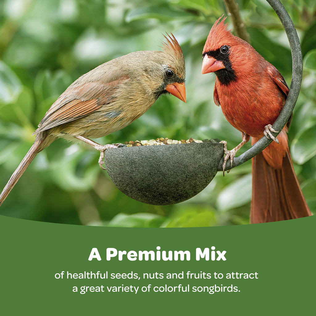 Kaytee Ultimate Birder's Blend Food, Wild Bird Seed, 10 Pounds