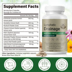 Bivinke Lymphatic Drainage Supplement, Lymphatic Drainage Capsules with Dandelion, Burdock, Cleavers & Echinacea, Supports Bloating, Fluid Balance & Daily Lymphatic Wellness – 120 Capsules
