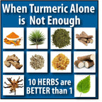 Bio-Relieve Biologic Nutrients Turmeric Supplement, 10-in-1 Herbal Joint Supplements for Men & Women, with Muscle, Bones, Nerves, & Joint Support - Daily Mobility Support, 120 Capsules
