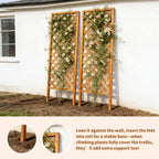 Sciengarden 2 Pack Wood Garden Decor Trellis for Climbing Plants Outdoor