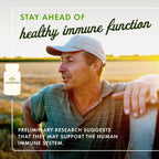 Swanson Maximum Strength Fucoidan Extract Immune Support Supplement for Adults Seeking Natural Immune Defense from Brown Seaweed - 500 mg (60 Vegan Capsules, 2 Pack)