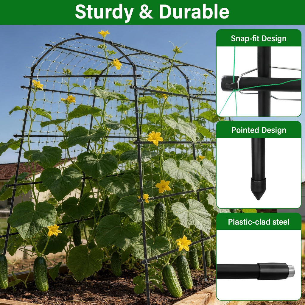 Toriexon Garden Arch Trellis for Climbing Plants