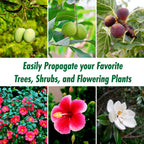 Rooted Promise Air Layering Propagation kit with Zip Ties | 12 Pack | 4 inches Wide x 5 inches Long | Plant Rooting Pods - Supports Aerial Roots Growth | Ventilated and Hinged Design | Made in USA