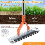 Thatch Rake -15 Inch Dethatcher Rake with Adjustable Handle, Efficient Steel Metal Rakes with Handle,Heavy Duty Thatching Rakes for Lawn,Garden, Yard