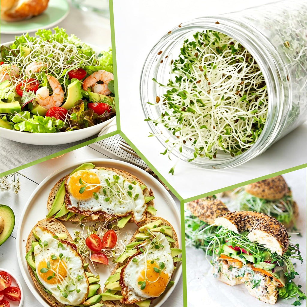 Sprouting Kit, 2 Wide Mouth Sprouting Jar with Stainless Steel Screen Sprout Lids, Blackout Sleeves, Drain Cover, Sprouts Growing Kit for Broccoli, Mung Beans, Alfalfa & Microgreens