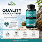 HerbaMe Organic Sea Moss Supplement with Bladderwrack & Burdock Root, Irish Moss with Black Pepper Extract, Daily Mineral Support for Energy & Wellness, Immune Support for Men & Women, 150 Capsules