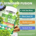 Sea Moss Gummies – Irish Sea Moss with Elderberry & Black Seed Oil, Bladderwrack, Burdock Root for Immune & Detox Support, Vegan Green Apple Flavor Gummies for Adults, Kids, Men, Women - 120 Gummies