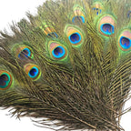 Piokio 50 Pcs Bulk Peacock Feathers, 10-12 inch