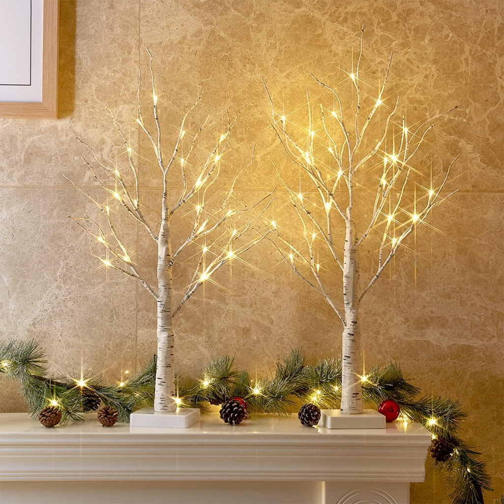 PEIDUO Christmas Decorations, 2FT Birch Tree with LED Lights, Warm White Light up Tree Lamp, Artificial Trees for Home Table Inside, Battery Powered, Timer (2PK)