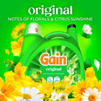 Gain Liquid Laundry Detergent, Original Scent, 177 fl oz, Freshness + Odor Fighting, Laundry Detergent Liquid Soap, HE compatible, 134 loads (Packaging May Vary)