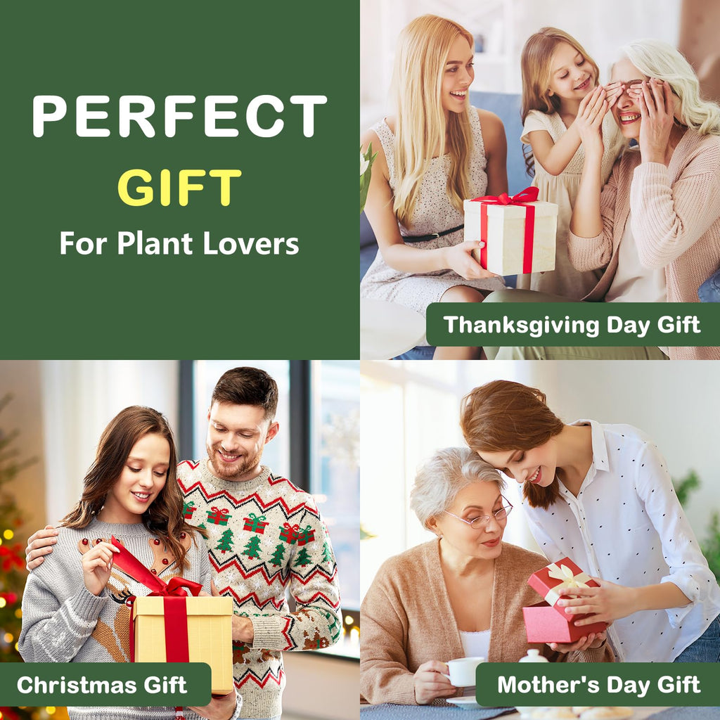 LUOJIBIE Bonsai Tree Kit, Complete Bonsai Starter Growing Kit, Christmas Birthday Gifts for Women Men Mom Dad Girls Boys, Gardening Gift for Plant Lovers, White Elephant Gifts for Adults