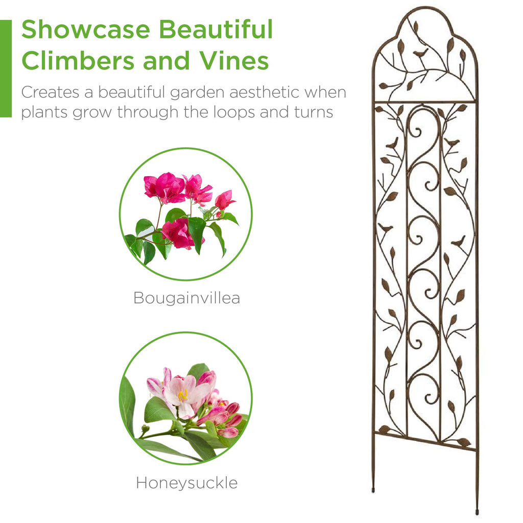 Best Choice Products Set of 2 60x15-inch Iron Arched Garden Trellis w/Branches, Birds for Lawn, Garden, Backyard, Climbing Plants