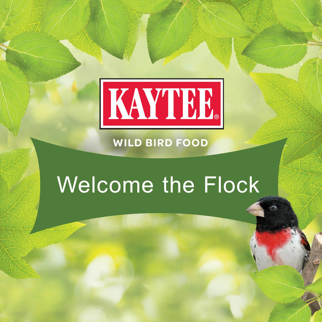 Kaytee Ultimate Birder's Blend Food, Wild Bird Seed, 10 Pounds