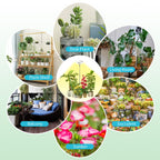 Halo Ring Grow Lights for Small Indoor Plants, Warm+White 96LEDs Full Spectrum Plant Light, Height Adjustable with Adapter, 3/9/12H Timer, 3 Spectral Modes, 10 Dimmable Levels, Angel Ring 2 Pack