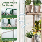 Bamworld Mini Greenhouse Indoor Small Portable 2-Tier Green House for Seed Starting Plant Grow Warmer and Home Gardening Display