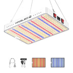 KingLED KP2000 Grow Light for Indoor Plants, Full Spectrum Plant Grow Light