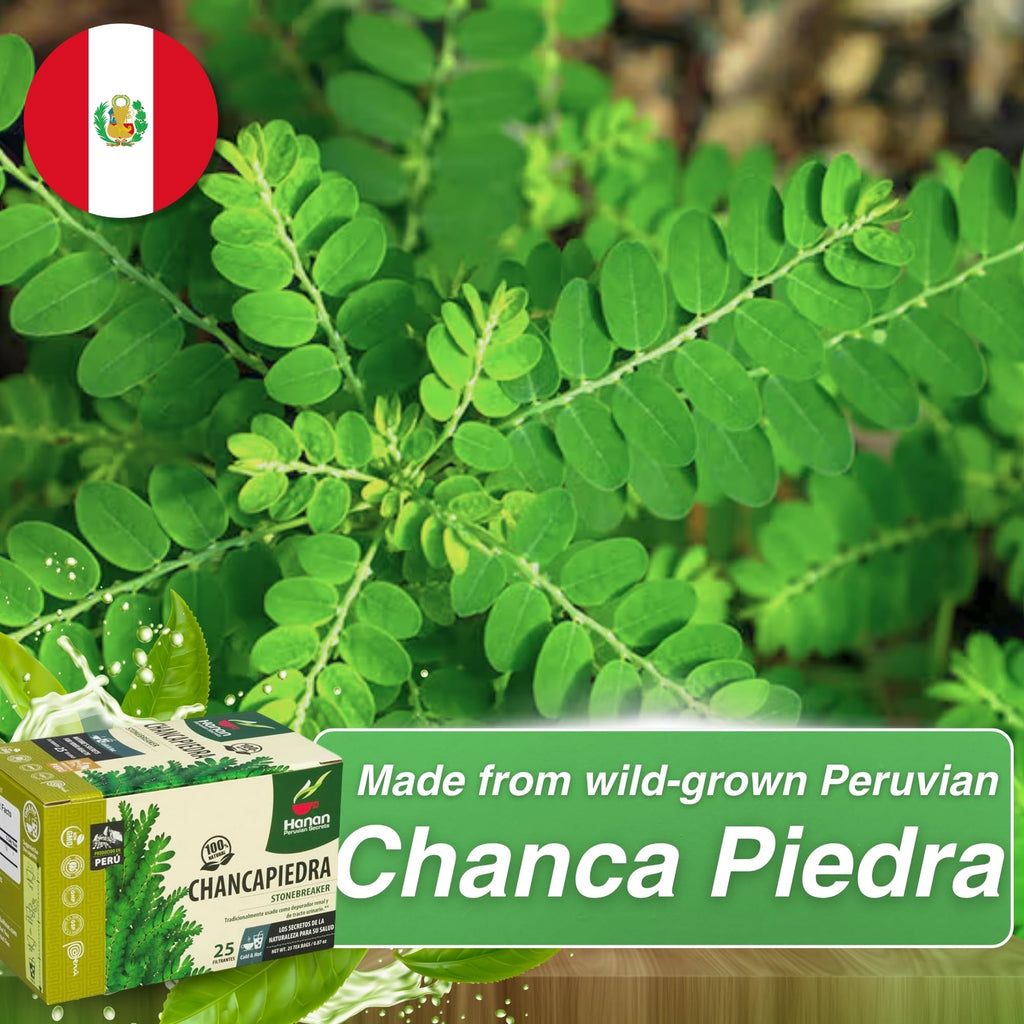 Hanan Chanca Piedra Tea "Stonebreaker" 100 Teabags - 4 Boxes Chancapiedra "Stone Breaker" from Peru for Kidney, Gall, Digestive Health - Peruvian Naturals