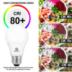 Energetic 60W Equivalent, A19 LED Light Bulb, 5000K Daylight, E26 Medium Base, Non-Dimmable LED Light Bulb, 8W 760lm, ETL Listed 4 Pack