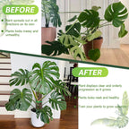 Sisher 6 Pcs Monstera Moss Pole,Plastic Moss Poles for Climbing Plants